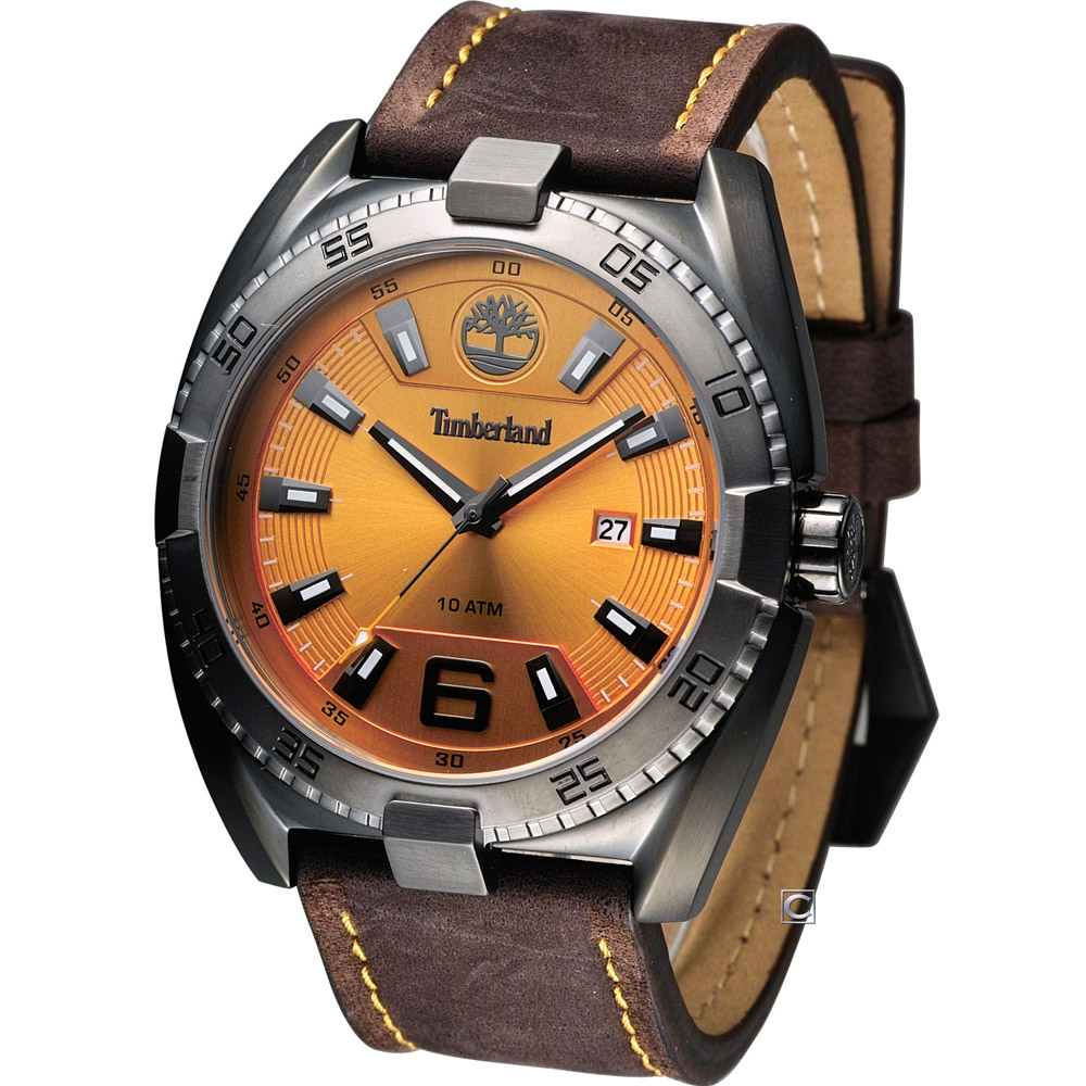 Timberland Pittsfort 原始叢林休閒時尚錶-橘x咖啡色錶帶/45mm