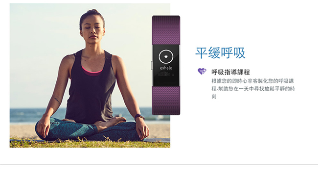 Fitbit Charge 2 無線心率監測專業運動手環