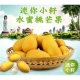 果之蔬 迷你薄籽水蜜桃芒果10斤±10%/每斤約3~5顆 product thumbnail 1