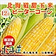 【天天果園】日本北海道真空包裝熟玉米x12支(300g/支) product thumbnail 1
