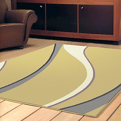 【范登伯格】艾斯-流線百搭時尚進口地毯-160x230cm