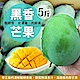 【天天果園】特級黑香龍眼芒果5斤(約6-8顆/箱) product thumbnail 2