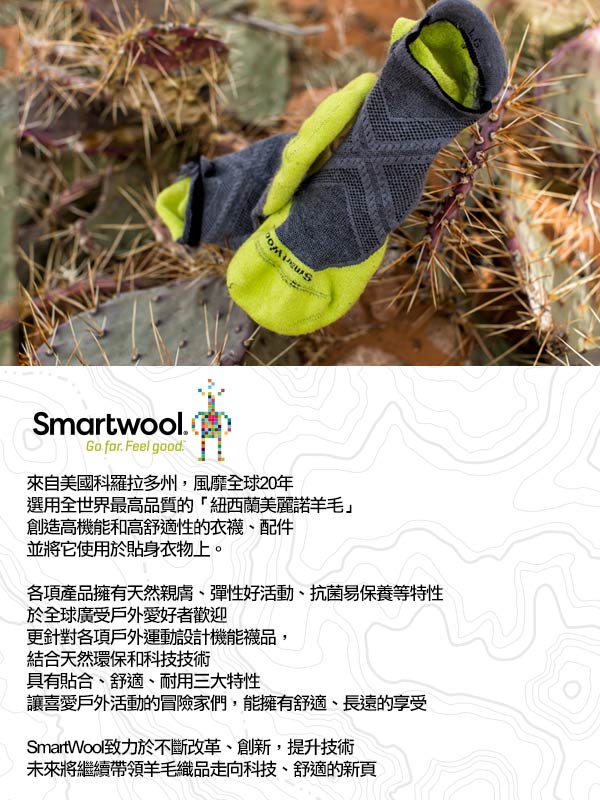 SmartWool PhD滑雪輕量菁英避震印花高筒襪黑