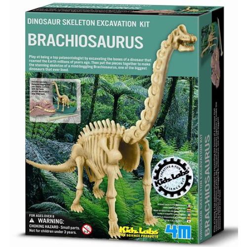 《4M挖掘考古》Dino Branchosaurus挖掘腕龍
