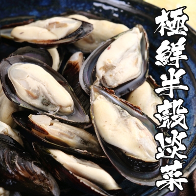 海鮮王 極鮮半殼淡菜*4盒組(800g±10%/盒)(約35顆/盒)