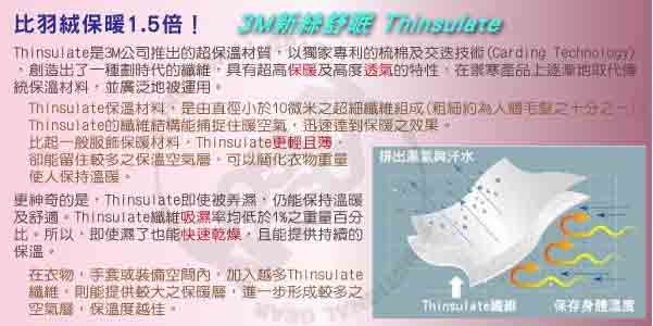 【SNOW TRAVEL】3M Thinsulate高級素面麻花保暖羊毛帽.毛線帽