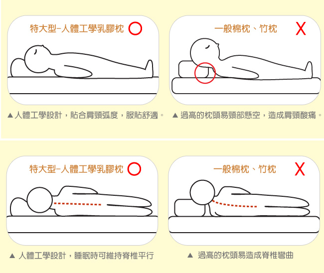 LooCa 特大型頂級HT工學型乳膠枕 2入