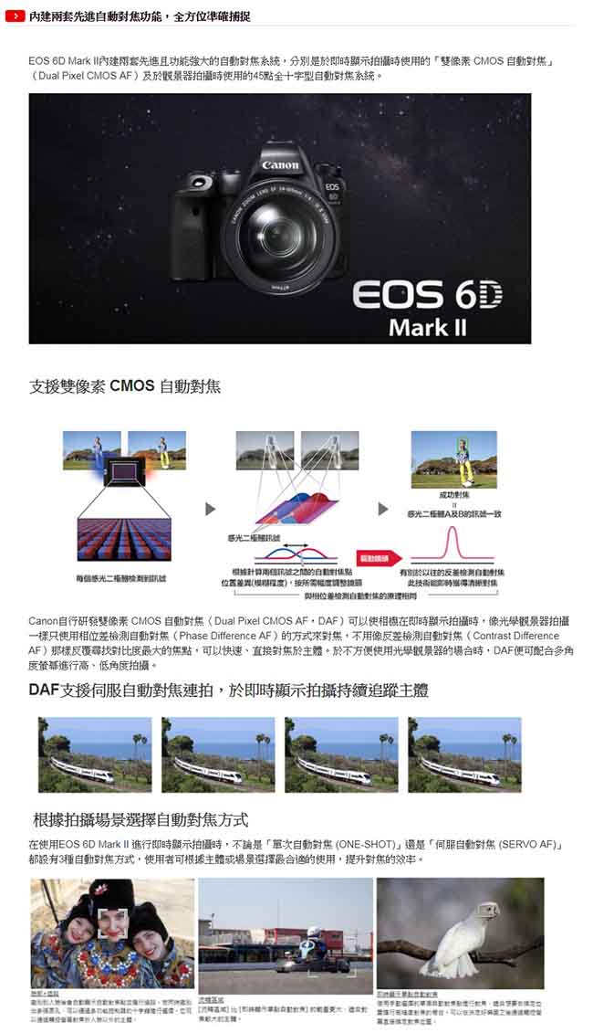 Canon EOS 6D Mark II單機身(公司貨)