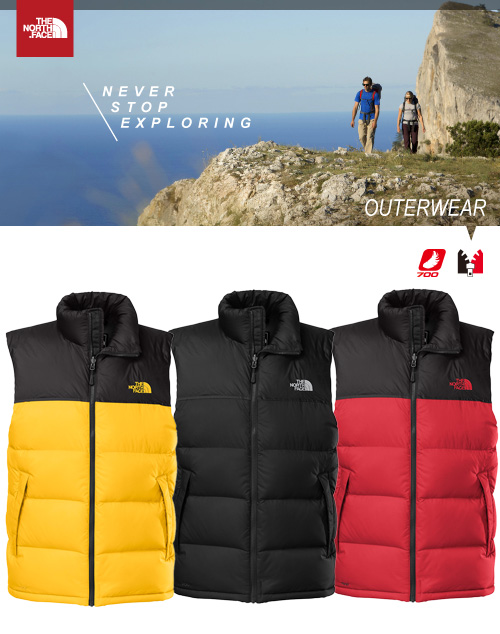 the north face 700 fill