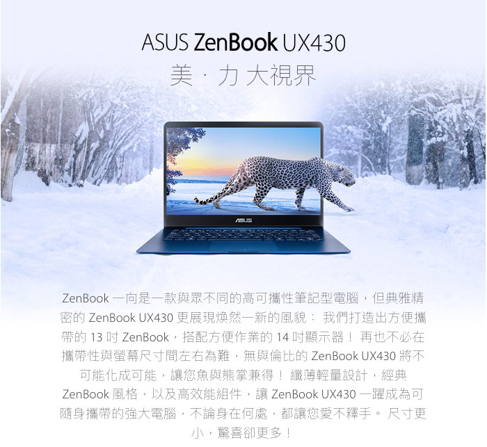 ASUS UX430