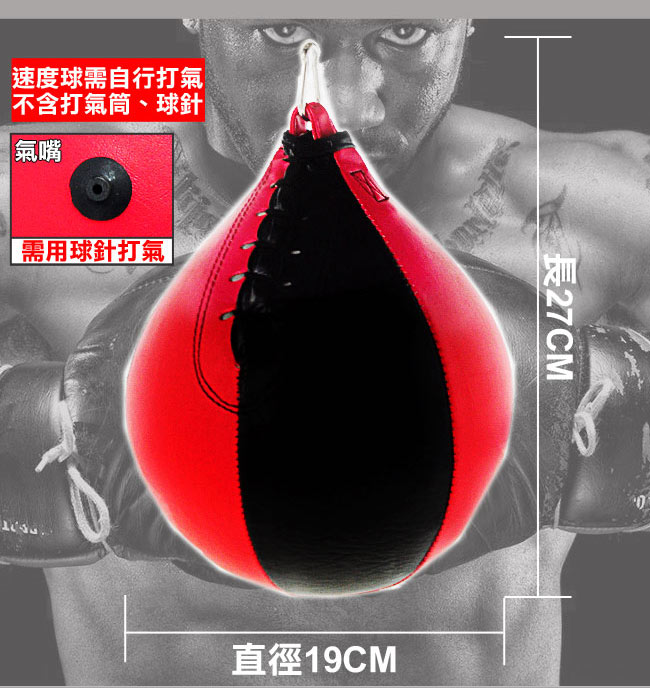 BOXING拳擊練習座+懸吊式30KG拳擊沙包+速度球