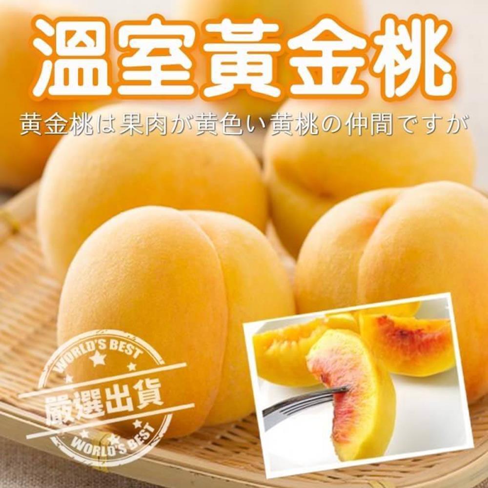 【天天果園】日本山梨溫室黃金桃 x1kg/盒(5-6顆入)