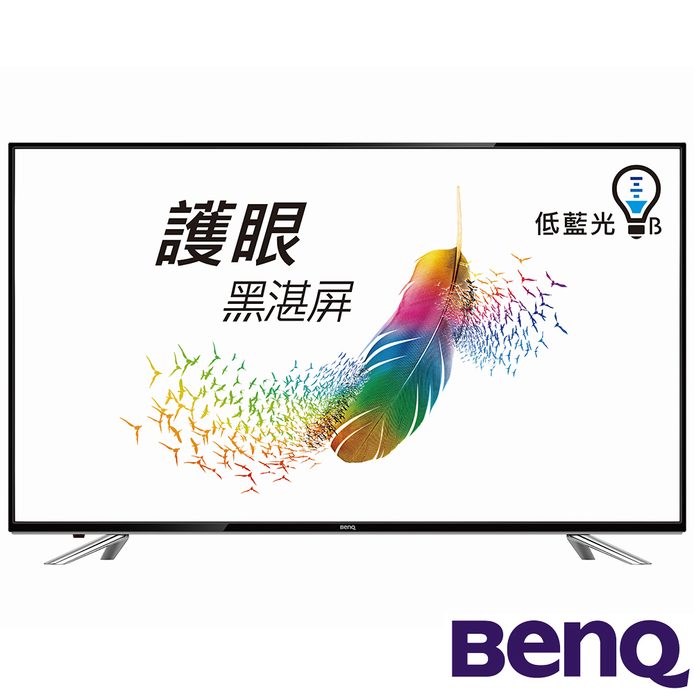 BenQ 49吋 低藍光液晶顯示器+視訊盒 49IE6500