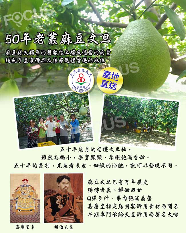 (麻豆吉) 麻豆臻品文旦最後釋出-買三送一 台南50年老欉吉園圃文旦-5斤/箱(共20斤)