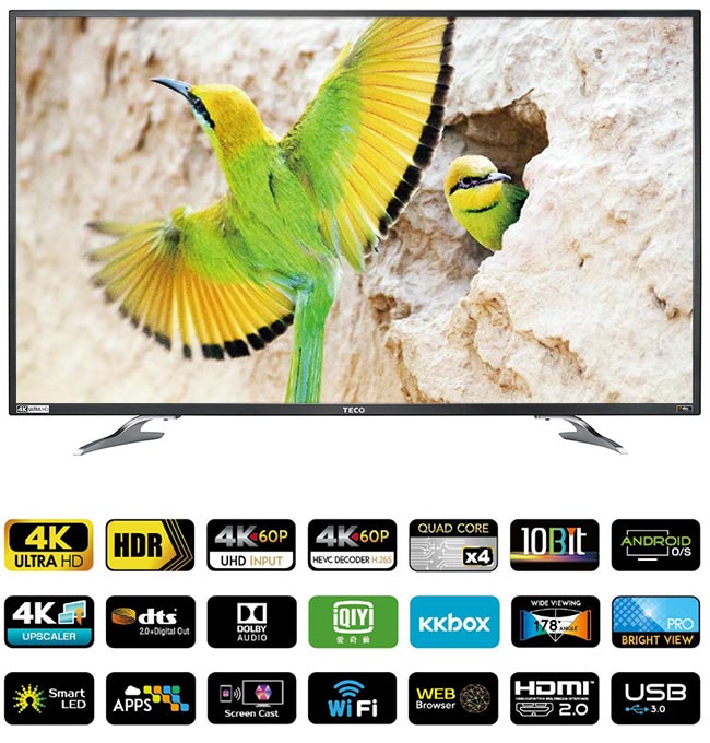 [無卡分期-12期] TECO東元 55吋 真4K Smart 液晶電視 TL55U1TRE