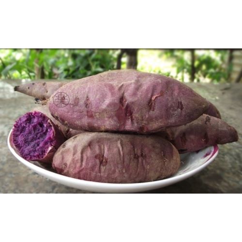 果之蔬 日本品種紫黑玉地瓜(生)10斤±10%