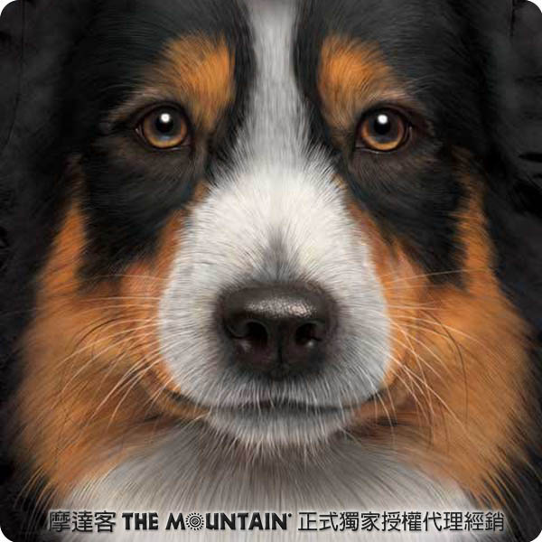 [摩達客]美國進口The Mountain澳洲邊境牧羊犬臉T