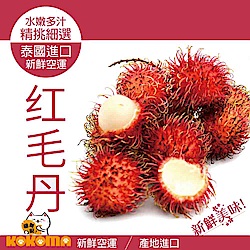 極鮮配 泰國鮮甜帶殼紅毛丹X4包(500g/包)