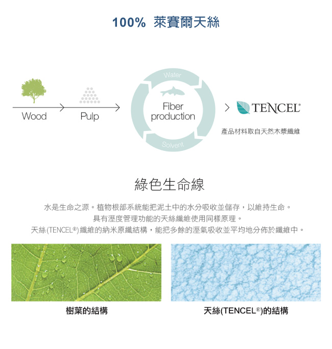 鴻宇HongYew 300織天絲 換日線 雙人兩用被套