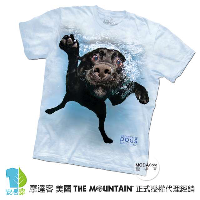 摩達客 美國進口The Mountain 水中拉布拉多黑狗兄 短袖T恤