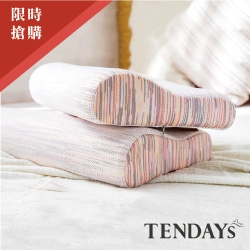 TENDAYS DISCOVERY 優眠枕(二