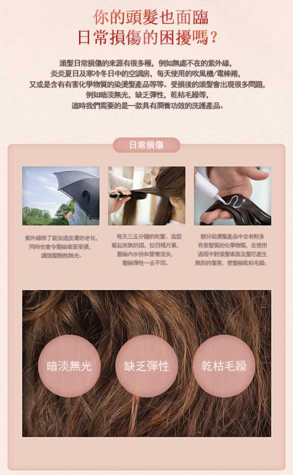 Ryo呂 韓方修護潤髮乳 受損髮質適用(新升級)400ML