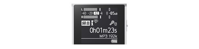 [原廠公司貨+隨行袋] SONY數位錄音筆4G ICD-UX560F