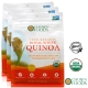 Chosen Foods 有機白藜麥QUINOA (453.6公克*3) product thumbnail 1