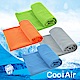 CoolAir 急速涼感降溫不硬化冰涼巾 (2入組) product thumbnail 1