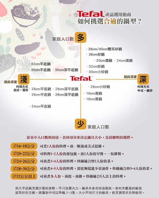 Tefal 法國特福頂級樂釜鑄造系列28CM不沾平底鍋