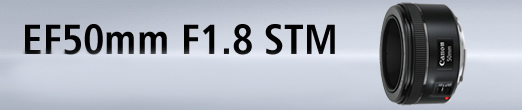 Canon EF 50mm f/1.8 STM 標準鏡頭(公司貨)