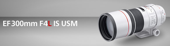 Canon EF 300mm F4L IS USM 望遠定焦鏡頭(公司貨)