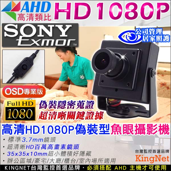 監視器攝影機 - KINGNET 高清隱藏偽裝式魚眼攝影機 HD1080P SONY晶片