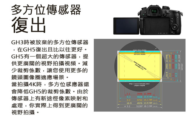 Panasonic LUMIX DMC-GH5 單機身 (公司貨)