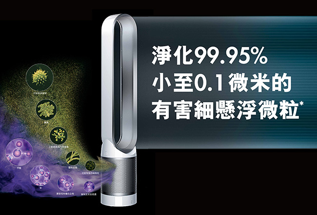 [無卡分期12期]Dyson pure cool 空氣清淨機 TP00 (時尚白)