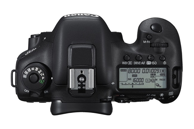 Canon EOS 7D Mark II+18-135mm IS USM (中文平輸)