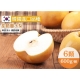 果之蔬＊韓國進口圓黃梨 x6顆禮盒 (每顆約600g±10%) product thumbnail 1