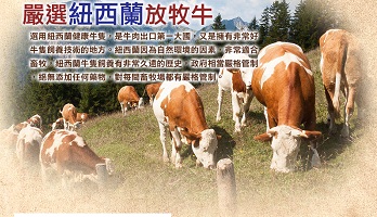 《好神》紐西蘭草飼肋眼沙朗牛肉片10包組