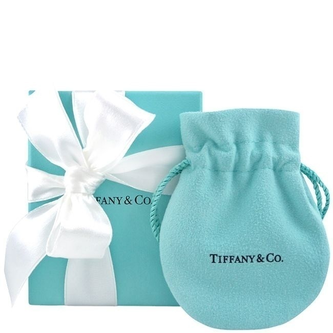 TIFFANY&Co. 鎖頭造型鑲鑽純銀項鍊