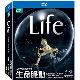 生命脈動 藍光BD (4碟精裝版) BBC / Life product thumbnail 1