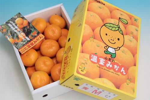 果之蔬頂級日本高知縣山北溫室蜜柑(原裝2.5kg±10%/盒) | 柳丁/柑橘 