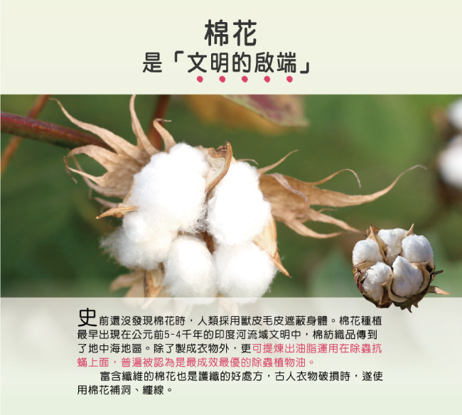 白鴿天然濃縮護纖抗菌洗衣精補充包-天然綿花籽2000g