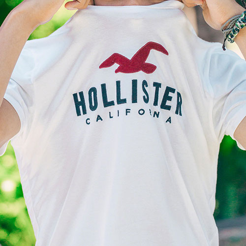 Hollister HCO 海鷗 經典大海鷗文字設計短袖T恤-白色