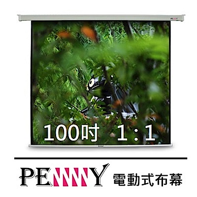 台灣專業製造~ PENNY PS-100(1:1) 100吋方型電動幕