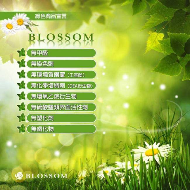 BLOSSOM 黃金摩洛哥山茶花柔絲潤澤修護髮油(100ML/瓶)5入組