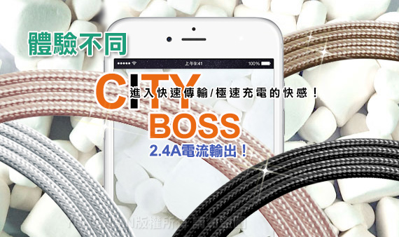 CB 2.4A iPhone 6S/6S Plus 快速鋁合金LED傳輸充電線