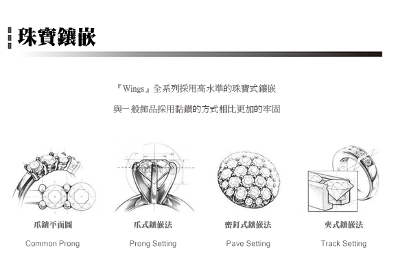 Wings 流轉時光 燦動方晶鋯石精鍍白K金項鍊