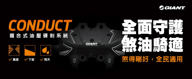 (無卡分期-12期)GIANT DEFY ADVANCED 2 長程型碳纖公路跑車