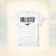 HCO hollister 海鷗 經典印刷文字 大海鷗圖騰短袖T恤-灰色 product thumbnail 1