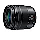 Panasonic Vario 12-60mm f/3.5-5.6 Asph.*(平輸) product thumbnail 1